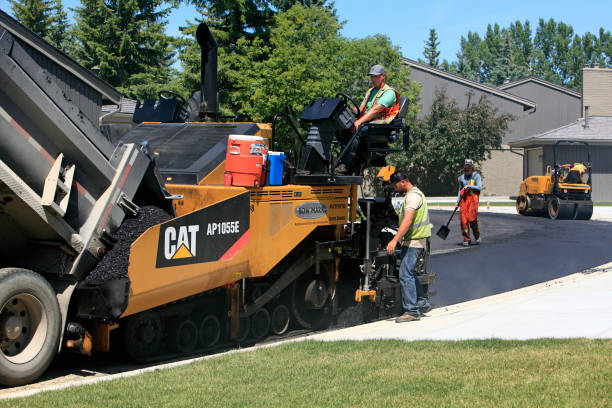 Best Driveway Repair Near Me  in Cottonwood, MN